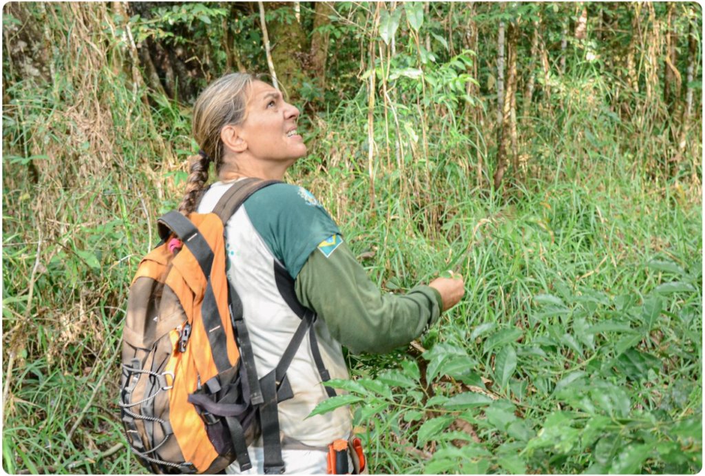 Coordenadora da equipe de botânicos, Rafaela Forzza | Foto: Israel Cardoso/GEA