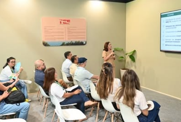 Foto: TCE-AP/Divulgação