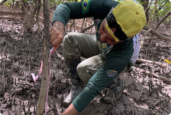 Foto: Alessandra Lameira/Agente Temporário Ambiental do ICMBio