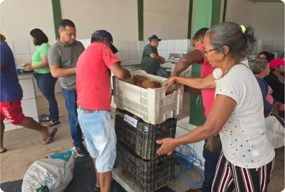 Foto: Cristiane Mareco/GEA