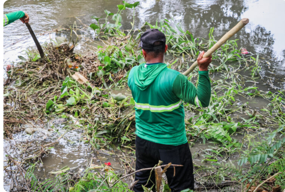 Foto: Lilian Costa/PMM