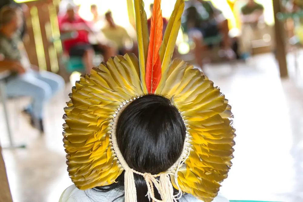 Foto: Alex Ribeiro/Agência Pará