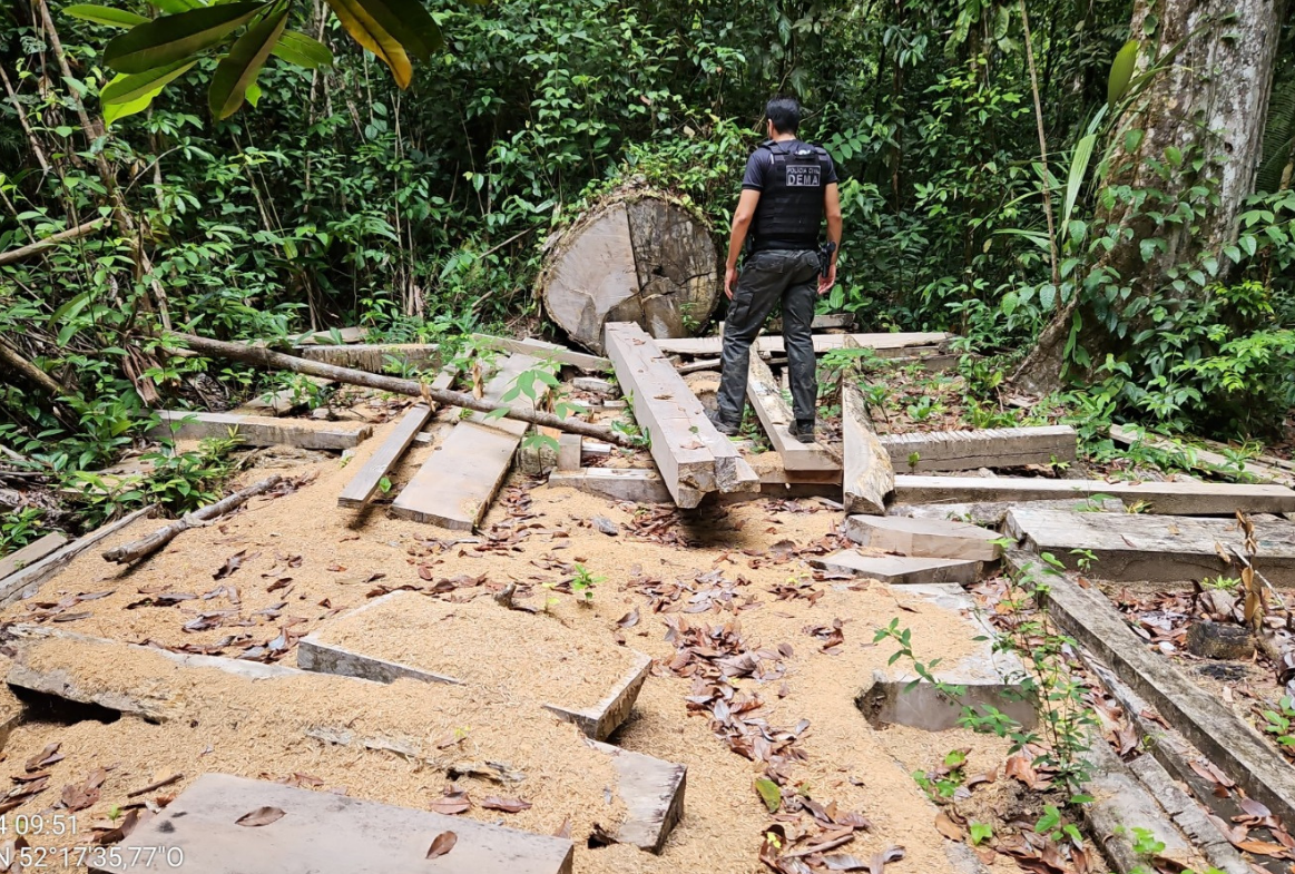 Foto: Polícia Civil-AP