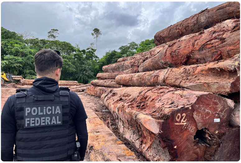 Foto: PF/Divulgação