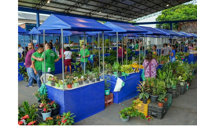 Foto: Arquivo PMM
