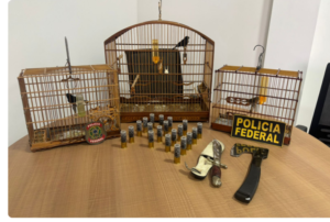 Foto: PF/Divulgação