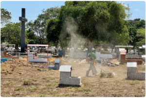 Foto: Wellington Barros/PMM