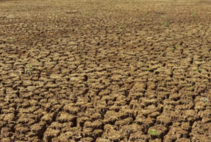 Foto: Marcello Casal jr/Agência Brasil