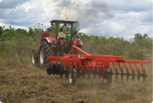 Foto: Cristiane Mareco/GEA