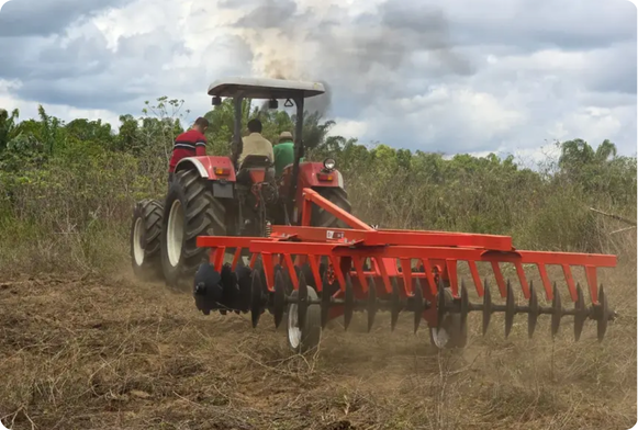 Foto: Cristiane Mareco/GEA