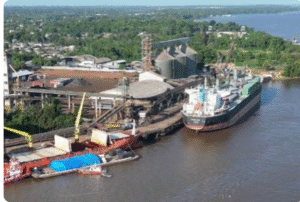 Foto: CDSA/Reprodução