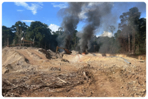 Foto: PF/Divulgação