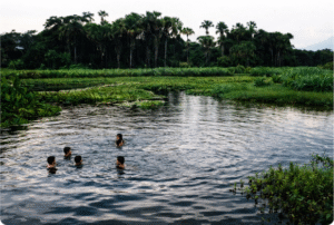 Foto: ALAP/Divulgação