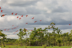 Foto: Márcia do Carmo/GEA
