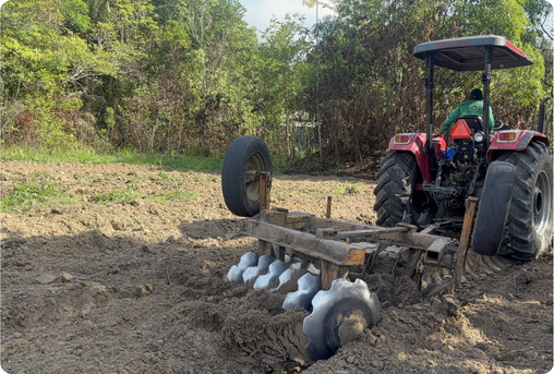 Foto: Elessandra Barsottelli