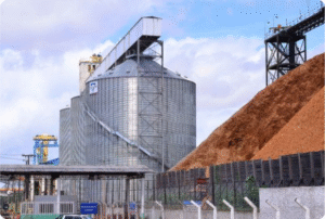 Foto: CDSA/Divulgação