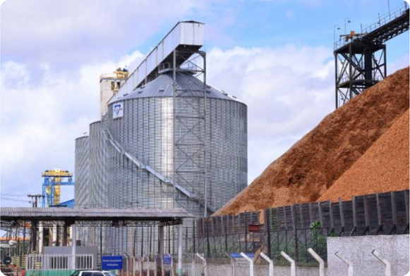 Foto: CDSA/Divulgação