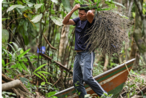 Foto: Agência Brasil