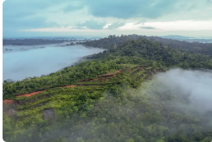 Foto: Fecomércio Amapá