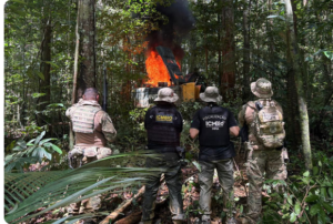 Foto: PF/Divulgação