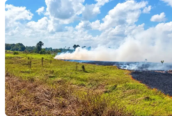 Foto: Sema/Divulgação